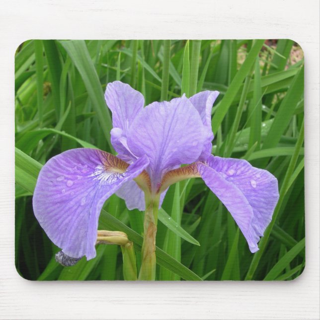 Purple Iris Mouse Pad (Front)