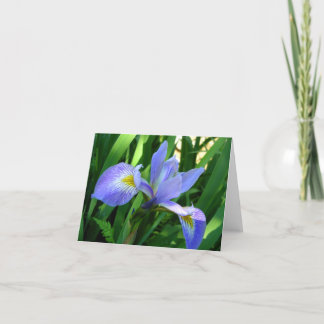 Purple Iris Note Card