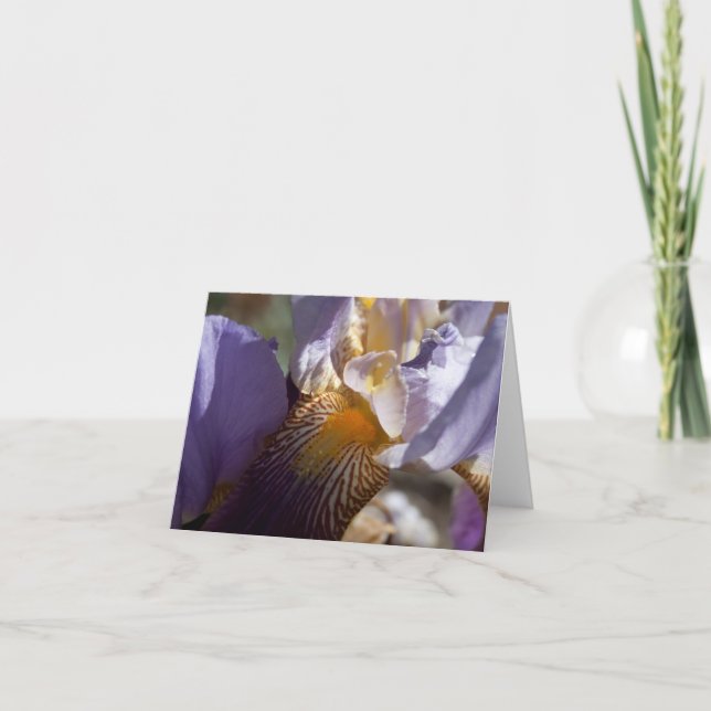 Purple Iris Note Card (Front)