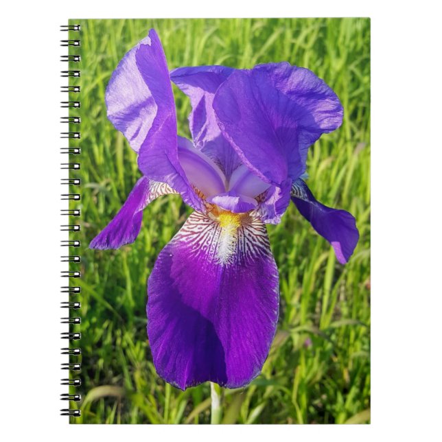 Purple Iris Notebook (Front)