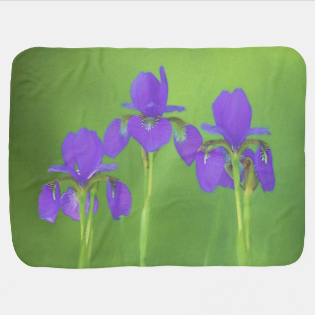 Purple Iris Painting - Original Flower Art Baby Blanket (Horizontal)