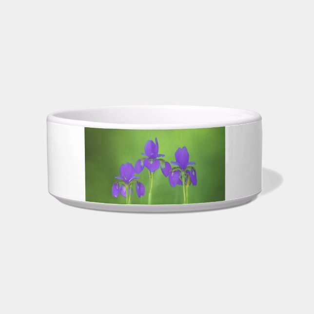 Purple Iris Painting - Original Flower Art Bowl (Right)