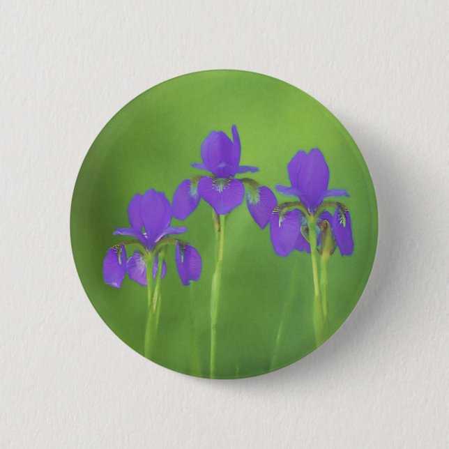 Purple Iris Painting - Original Flower Art Button (Front)