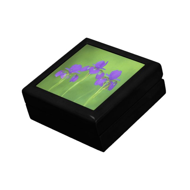 Purple Iris Painting - Original Flower Art Gift Box (Side)