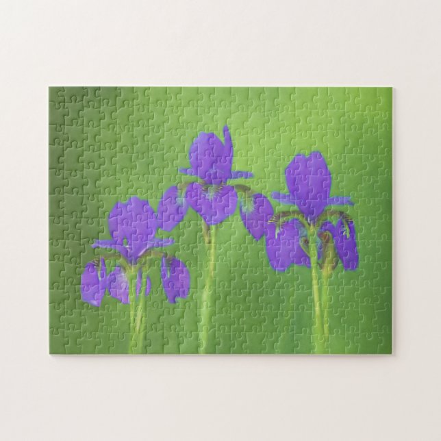 Purple Iris Painting - Original Flower Art Jigsaw Puzzle (Horizontal)