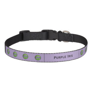 Purple Iris Painting - Original Flower Art Pet Col Collar