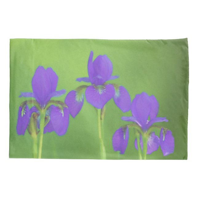 Purple Iris Painting - Original Flower Art Pillow Case (Back)