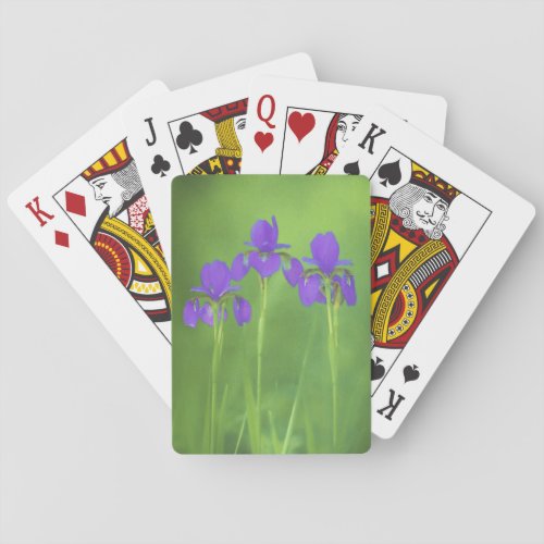Purple Iris Painting _ Original Flower Art Playing Cards