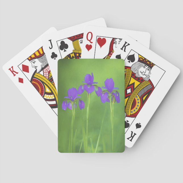 Purple Iris Painting - Original Flower Art Poker Cards (Back)