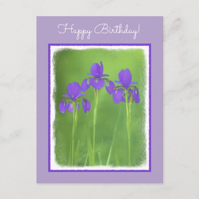 Purple Iris Painting - Original Flower Art Postcard (Front)