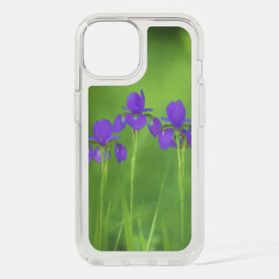 Purple Iris Painting - Original Flower Art iPhone 15 Case