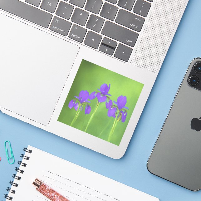 Purple Iris Painting - Original Flower Art Sticker (Laptop w/ iPhone)
