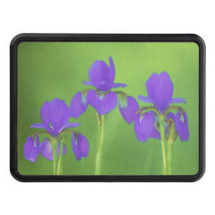 Purple Iris Painting - Original Flower Art Trailer Hitch Cover