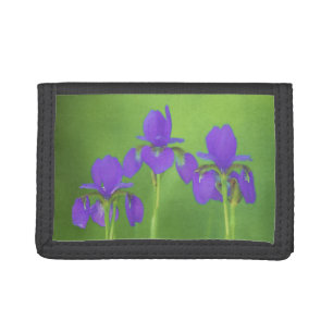 Purple Iris Painting - Original Flower Art Tri-fold Wallet