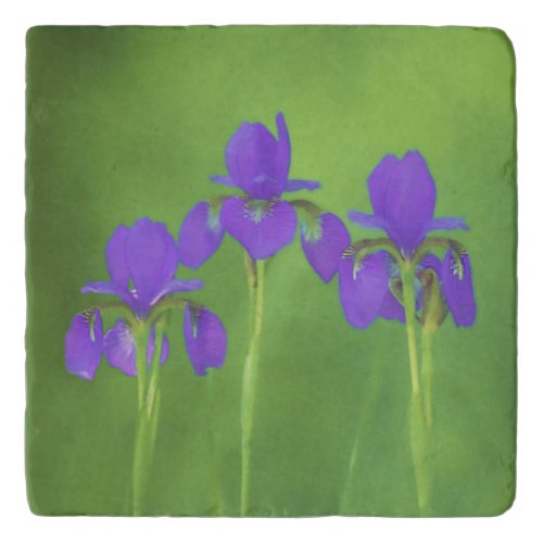 Purple Iris Painting _ Original Flower Art Trivet