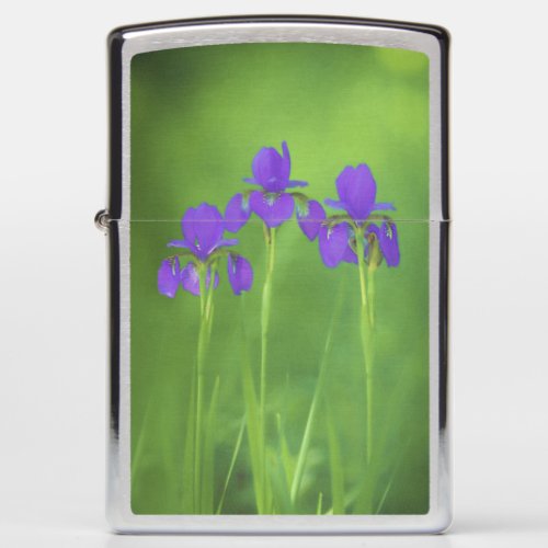 Purple Iris Painting _ Original Flower Art Zippo Lighter