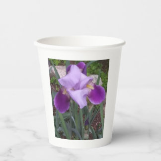 Purple Iris Paper Cups