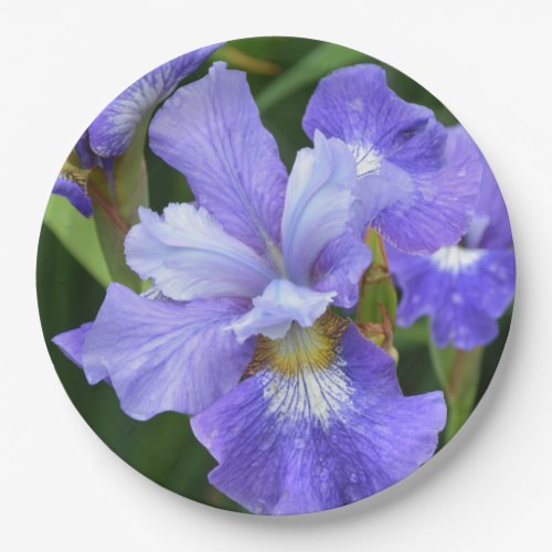 Purple iris paper plates