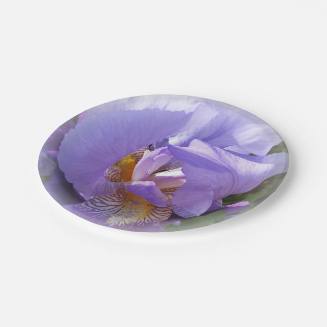 purple iris paper plates (Angled)