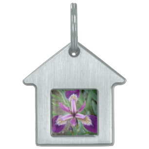 Purple Iris Pet Tag