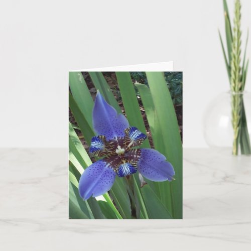 Purple Iris Photo Folded Note Card