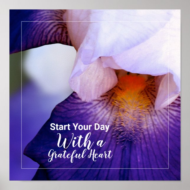 Purple Iris Photo Grateful Heart Quote Poster (Front)