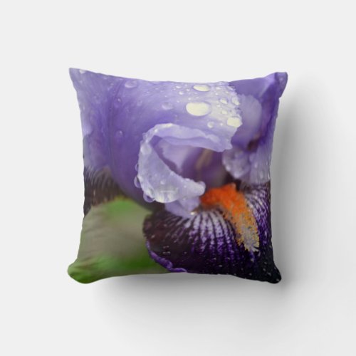 Purple Iris Pillow