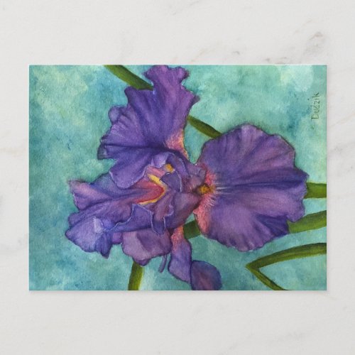 Purple Iris Postcard