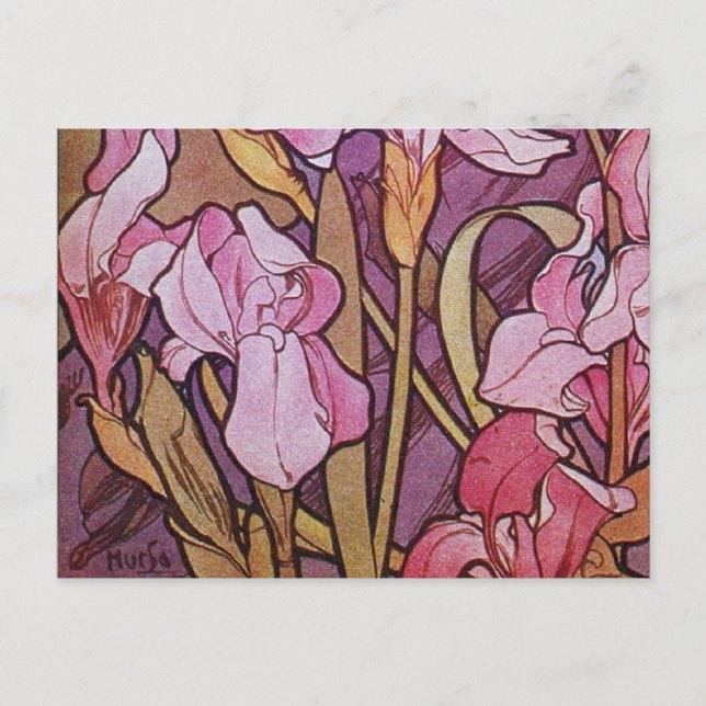 Purple Iris Postcard (Front)