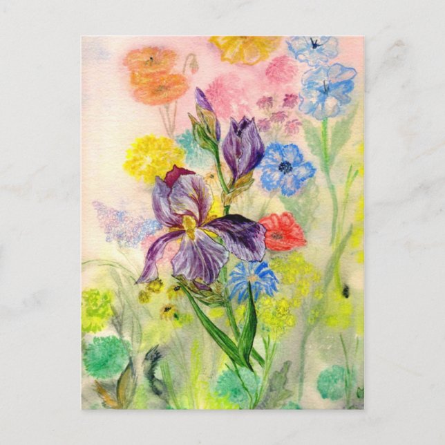 'Purple Iris' Postcard (Front)