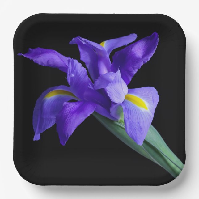Purple Iris Square Plate (Front)