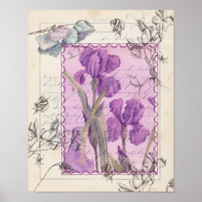Purple Iris Sweet Pea Watercolor Flowers Collage Poster (Front)