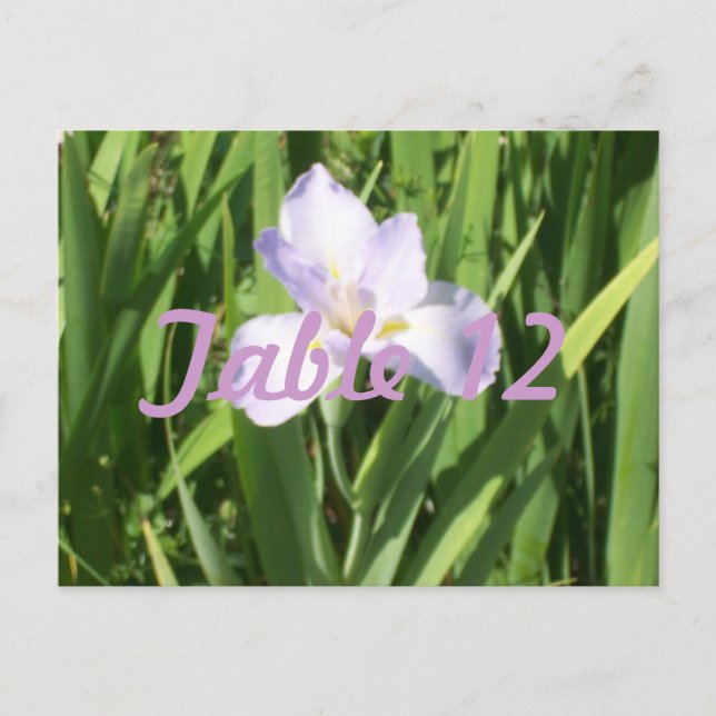 Purple Iris Table Number (Front)