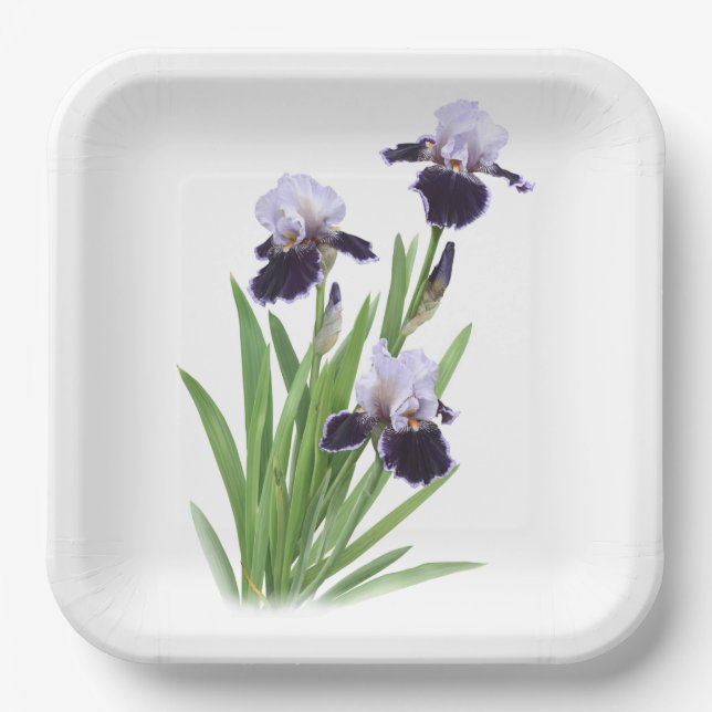 Purple Iris Trio Botanical Art Paper Plates (Front)