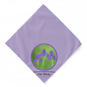 Purple Iris Trio Painting Original Flower Art Bandana