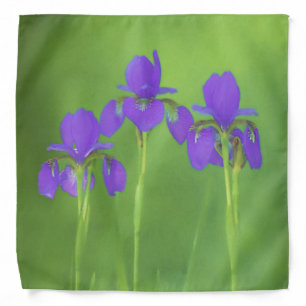 Purple Iris Trio Painting Original Flower Art Bandana