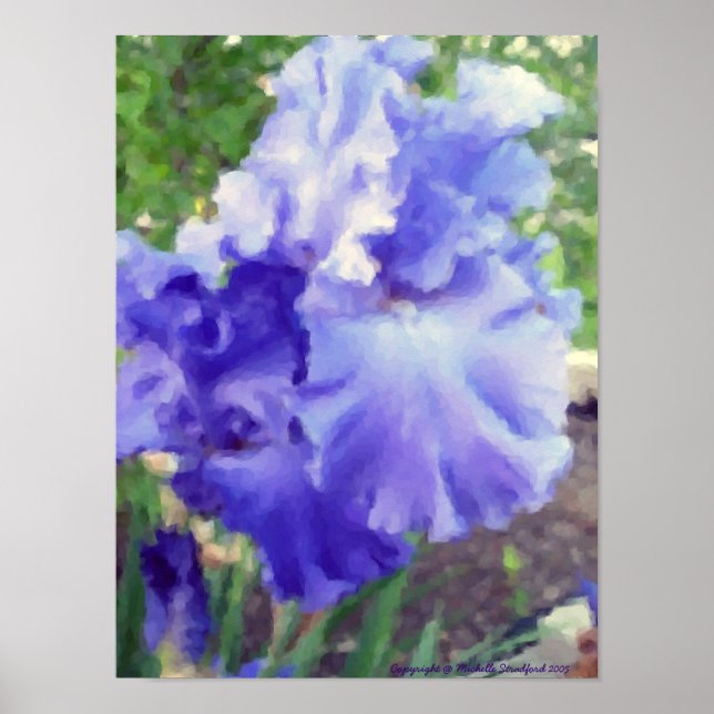 Purple Iris Watercolor Poster (Front)