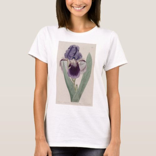 Purple Iris Womens T_Shirt