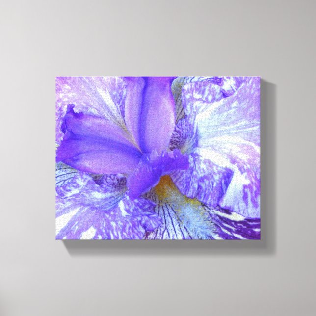 Purple Iris Wrapped Canvas Print (Front)