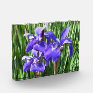 Purple Irises Acrylic Photo Block