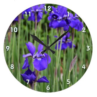 Purple Irises Botanical Floral Photographic Wall
