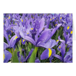 Purple Irises Card (Blank inside)