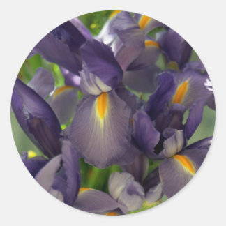 Purple Irises Flower Art Sticker Decals