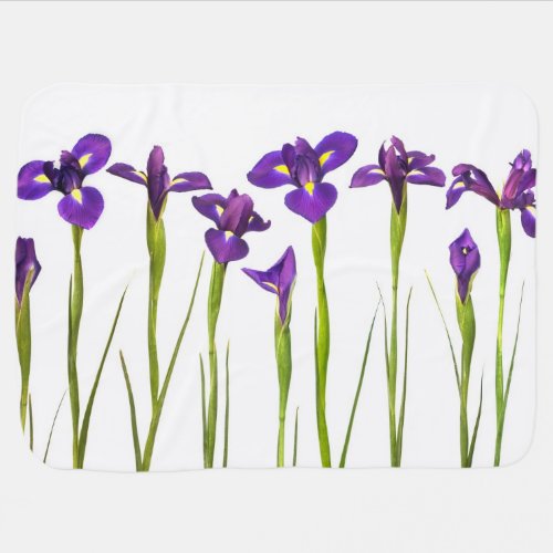 Purple Irises Flower Colorful Iris Flowers Floral Receiving Blanket