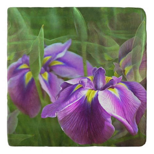 Purple Irises in Motion Trivet