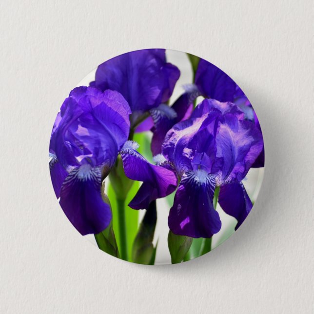 Purple Irises Iris Flower Button (Front)