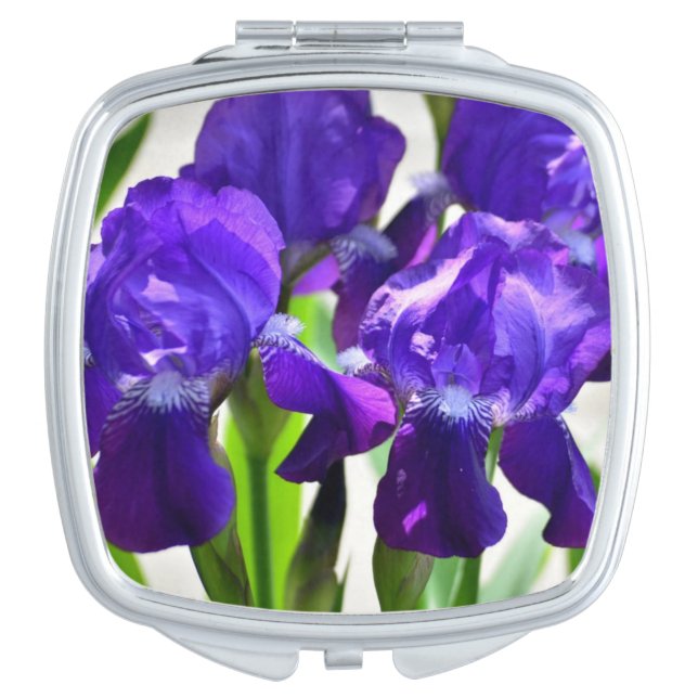 Purple Irises Iris Flower Compact Mirror (Front)