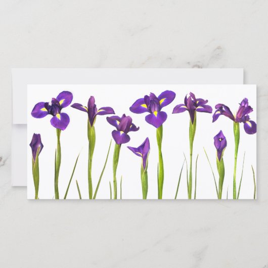 Purple Irises - Iris Flower Customized Template (Front)