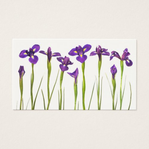 Purple Irises - Iris Flower Customized Template Business Card Template