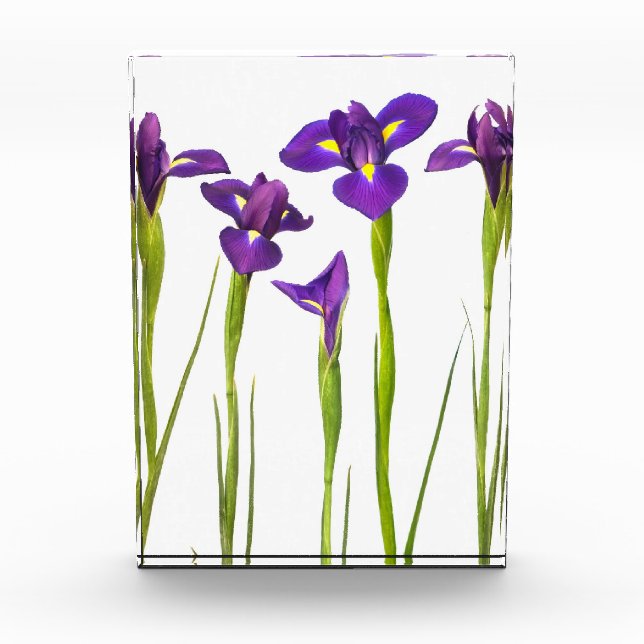Purple Irises - Iris Flower Customized Template Award (Front)